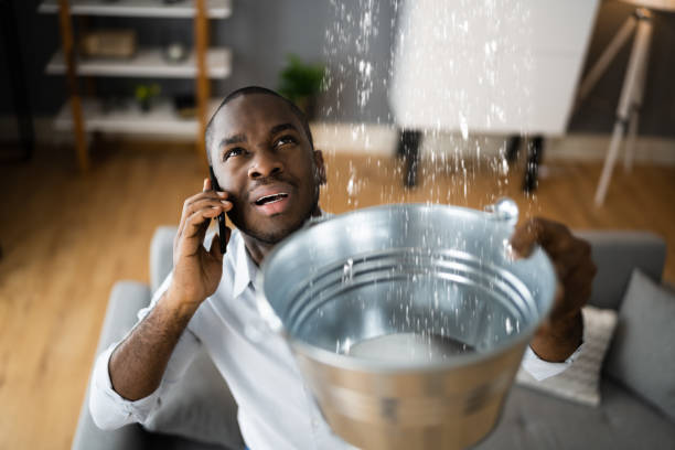 Best Carpet water damage restoration  in Memphis, MO