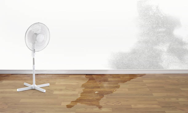 Best 24/7 water damage repair  in Memphis, MO