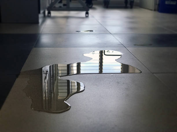 Best Water damage contractors near me  in Memphis, MO