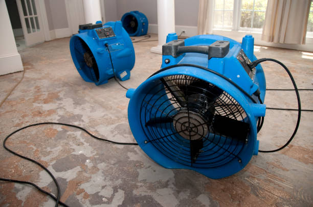 Best Water damage cleanup near me  in Memphis, MO