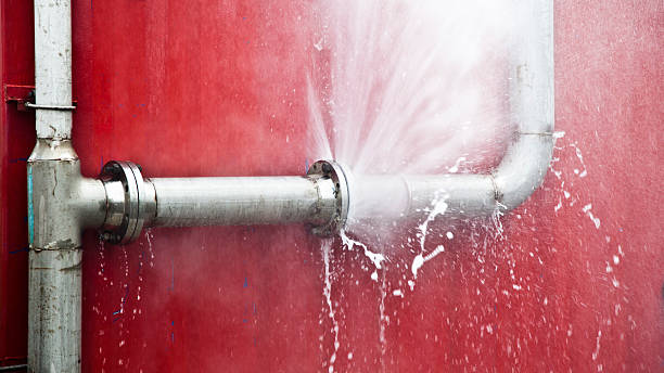 Best Mold removal after water damage  in Memphis, MO